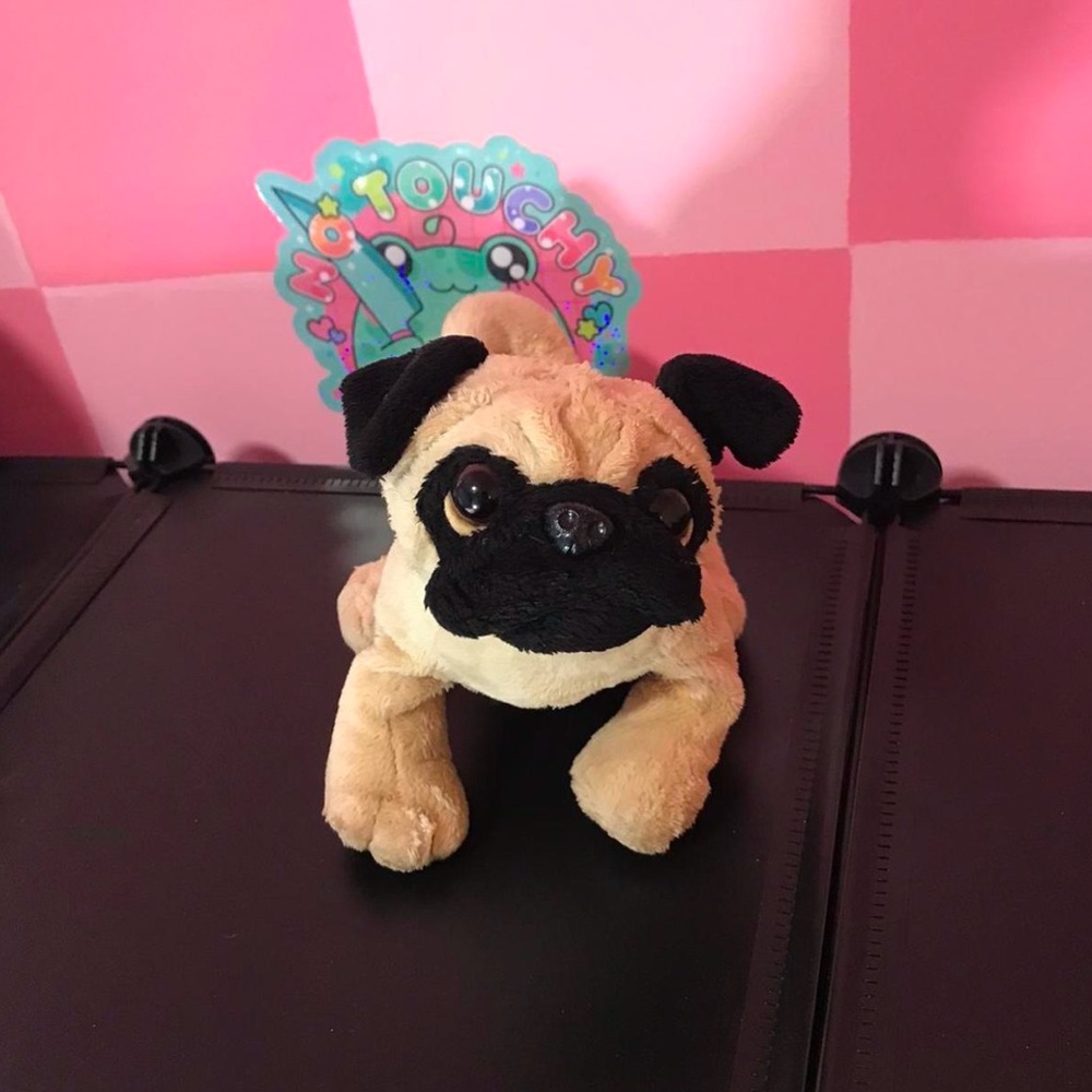 Webkinz pug